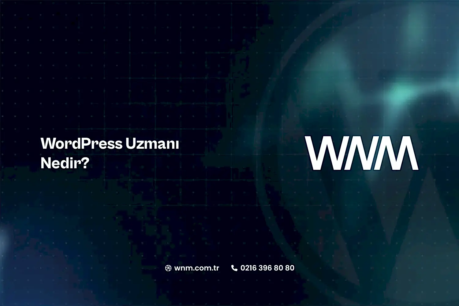 WordPress Uzmanı Nedir? 7 WordPress Uzmanı Nedir?